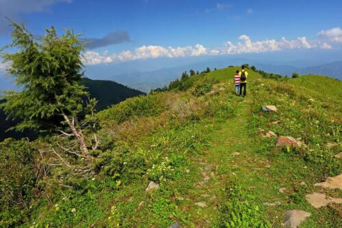 miranjani to dagri bangla trek