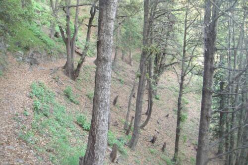 miranjani to dagri bangla trek
