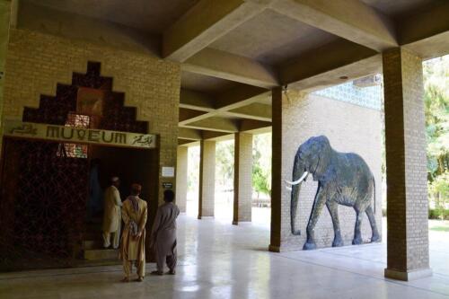 mohenjo daro tour