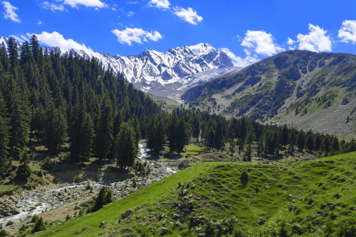 nagar valley tours & short treks