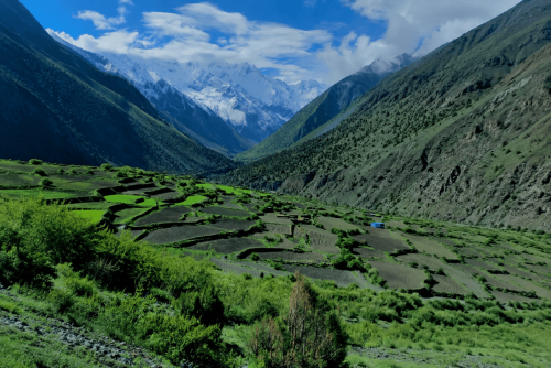 nagar valley tours & short treks