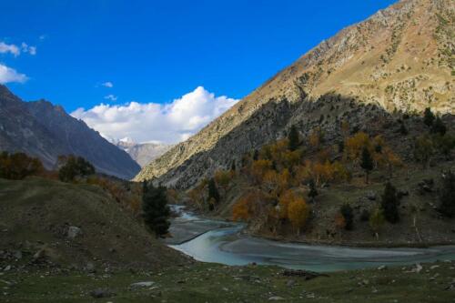 naltar valley tour