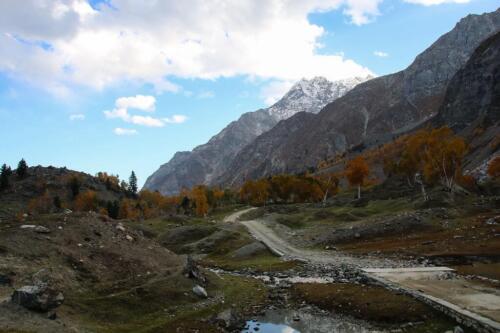naltar valley tour