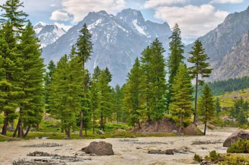 naltar valley tour