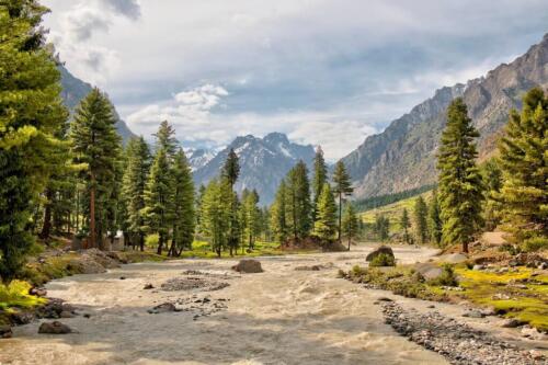 naltar valley tour