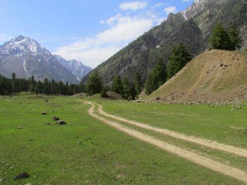 naltar valley tour