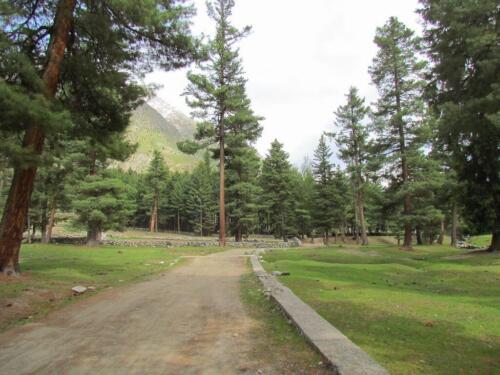naltar valley tour