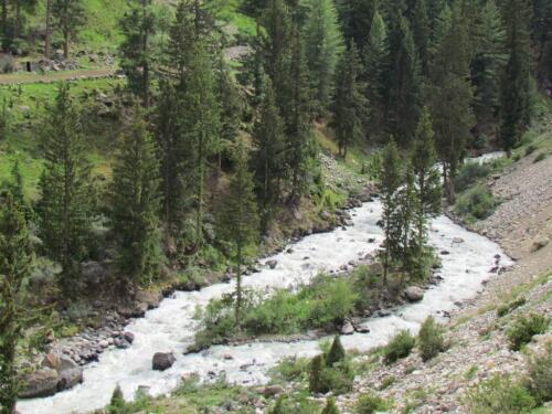 naltar valley tour