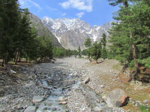 naltar valley tour