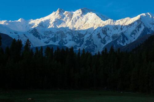 nanga parbat diamer face trek