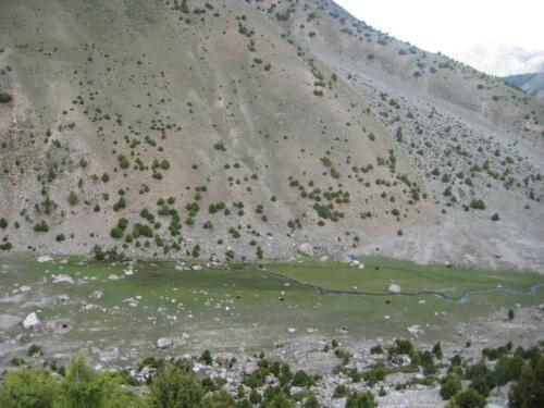 nanga parbat rupal face trek