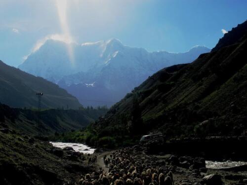 nanga parbat rupal face trek