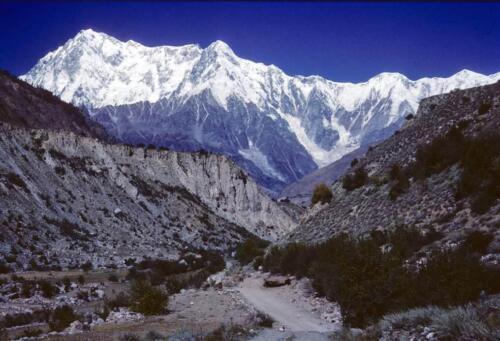 nanga parbat rupal face trek