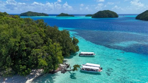 palau tours
