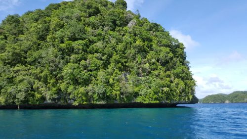 palau tours
