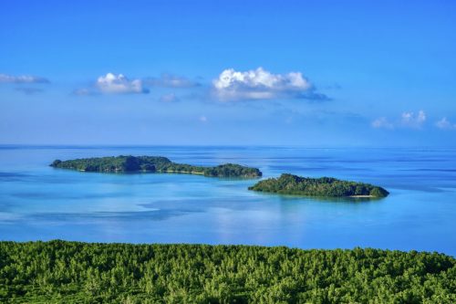 palau tours