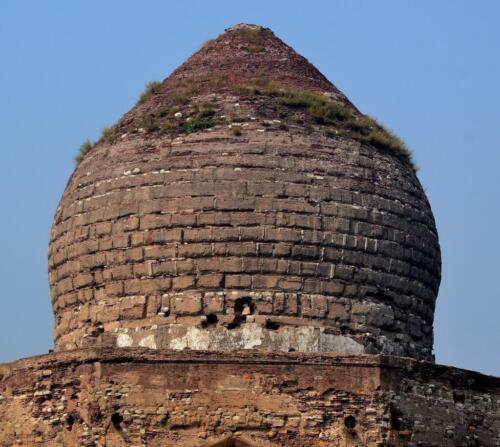 private tour - lahore full day customized guided trip