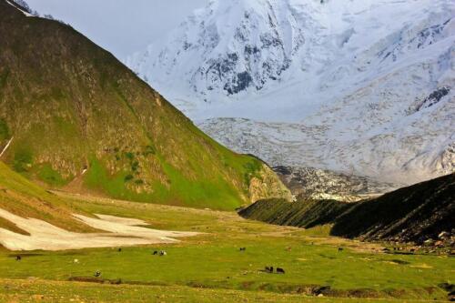 rakaposhi & diran base camp trek