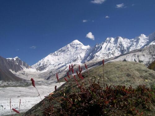 rakaposhi & diran base camp trek
