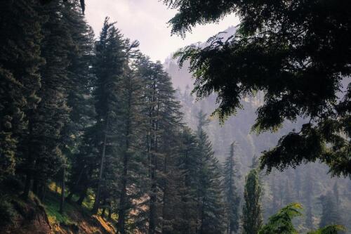 ratti gali lake trek