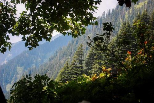 ratti gali lake trek