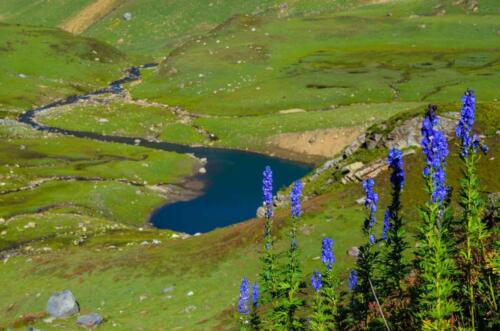 ratti gali lake trek
