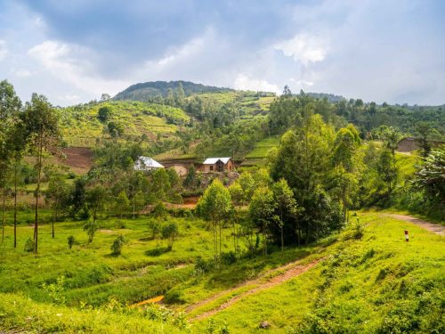 rwanda tours