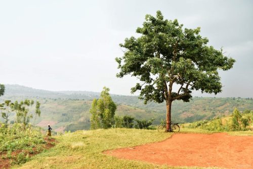 rwanda tours