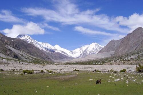 shaigri peak climbing