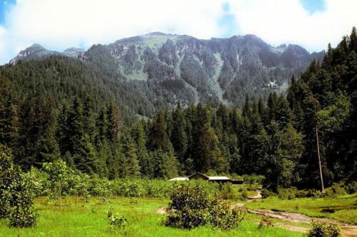 sharan forest tour