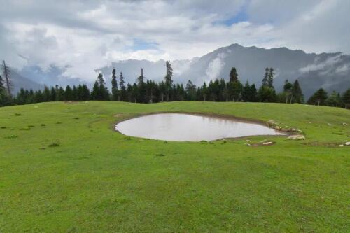 sharan forest manshi top trek