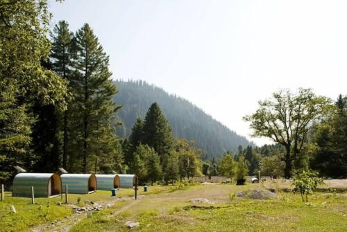 sharan forest manshi top trek