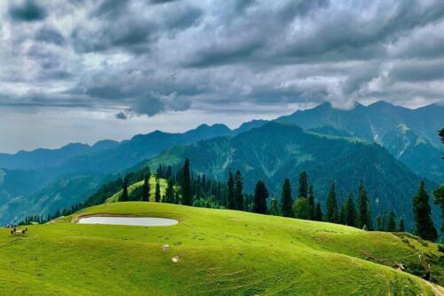 sharan forest manshi top trek