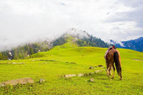 shogran siri paye tour