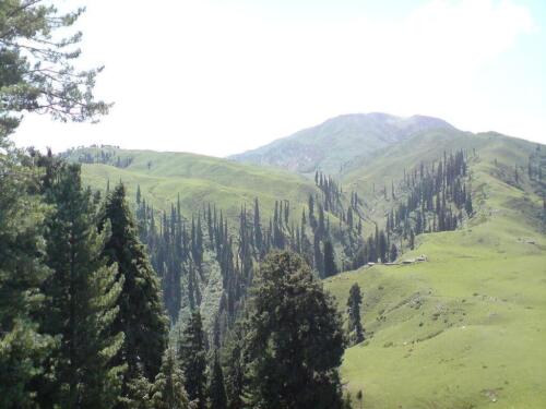 shogran and siri paye tour
