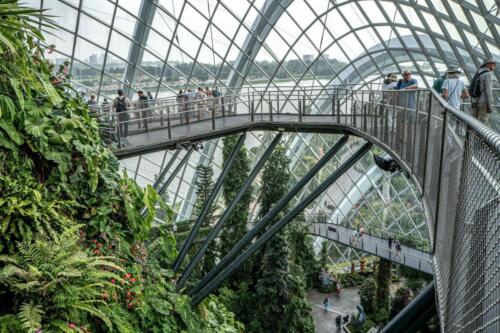singapore tours