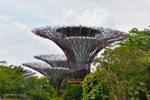 singapore tours