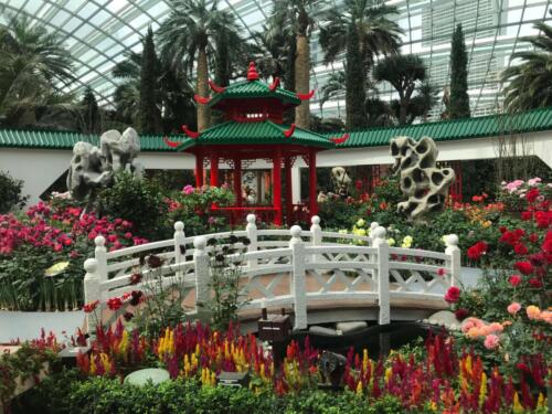 singapore tours