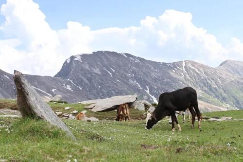 siran valley tour