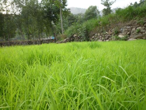 siran valley tour