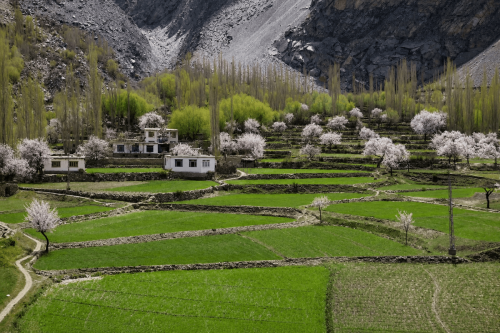 skardu tours & treks
