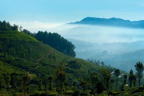 sri lanka tours