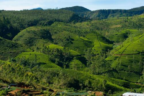 sri lanka tours