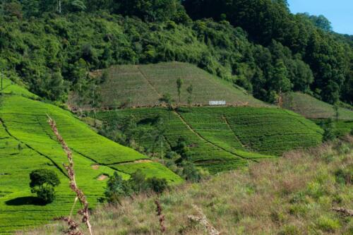 sri lanka tours