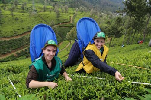 sri lanka tours