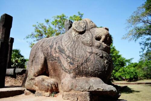 sri lanka tours