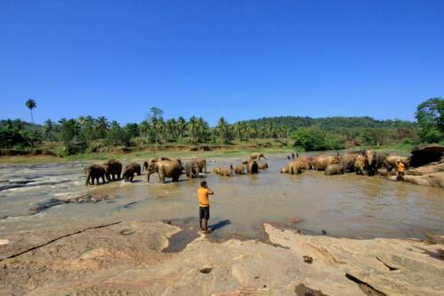 sri lanka tours