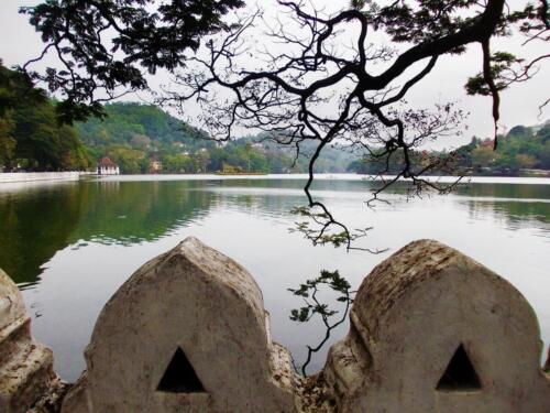 sri lanka tours