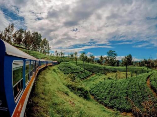 sri lanka tours
