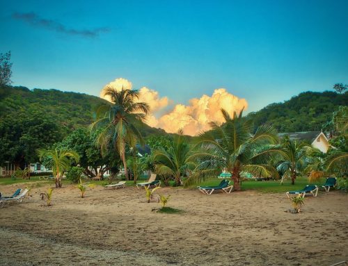 st. kitts & nevis tours
